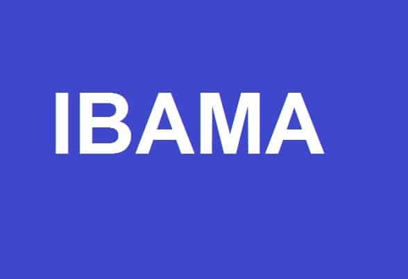 Ibama disponibiliza painel com dados e informações sobre empresas inscritas no Cadastro Técnico Federal (CTF/APP)