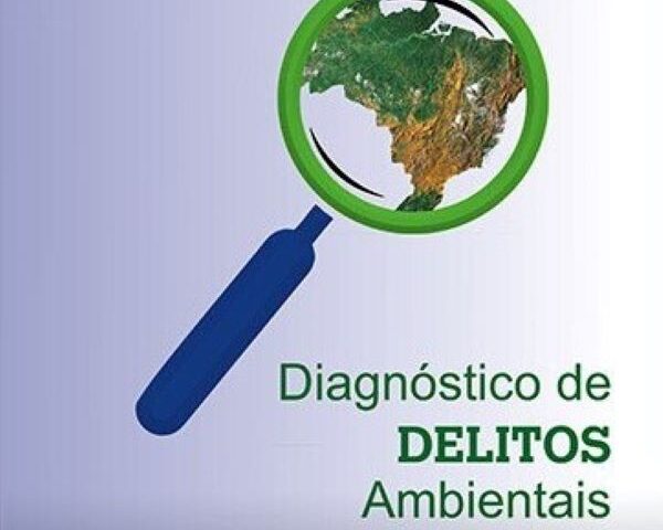 Ibama-publica-Diagnóstico-de-Delitos-Ambientais-2020