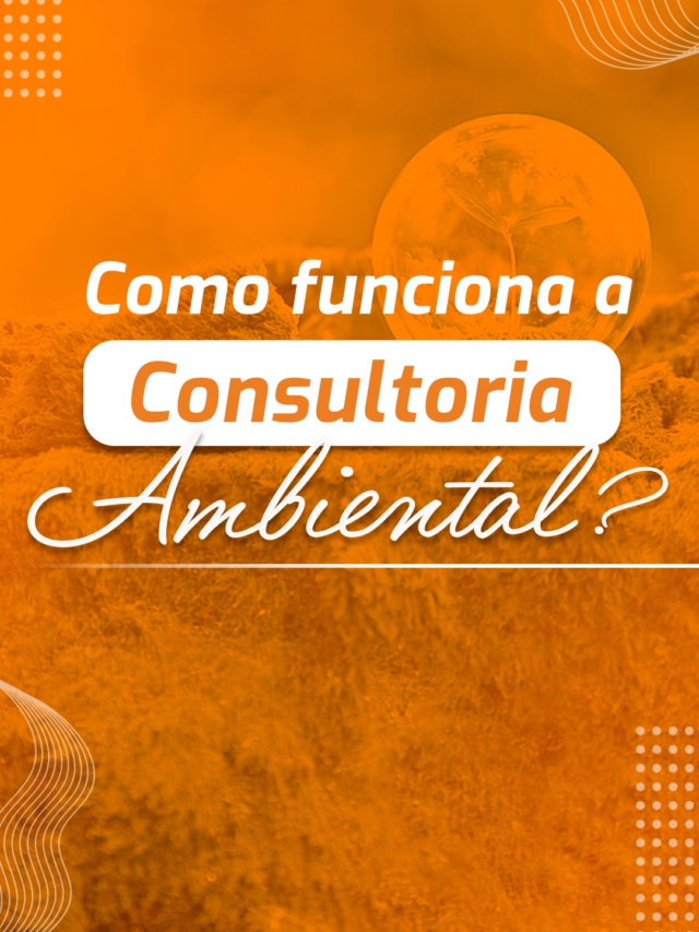 cropped-03_Como-funciona-a-Consultoria-Ambiental-1.png