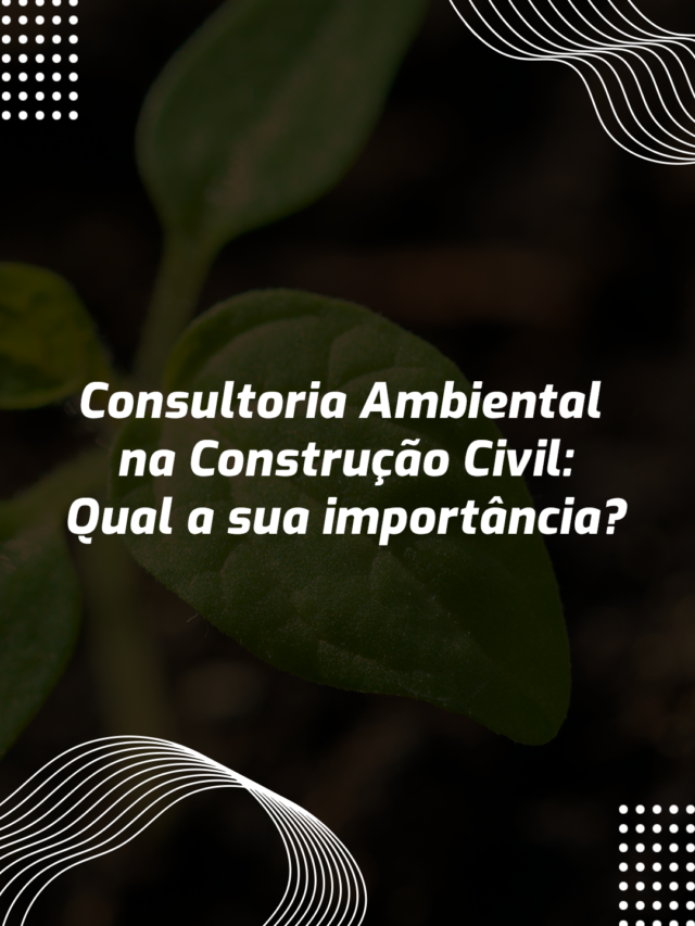 Consultoria Ambiental na Construção Civil: Qual sua importância?