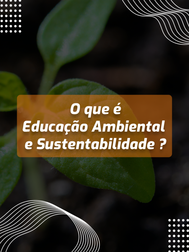 O que é Educação Ambiental e Sustentabilidade.