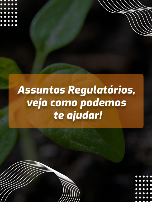 Assuntos Regulatórios, veja como podemos te ajudar!