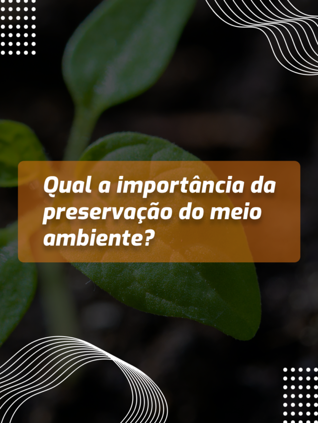 importância da preservação ambiental