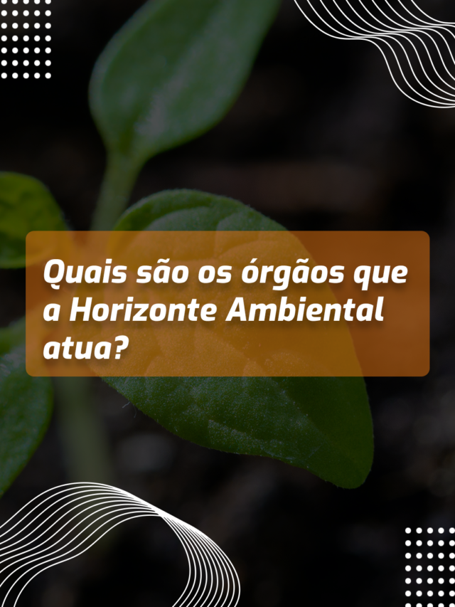 Quais são os órgãos que a Horizonte  Ambiental atua?