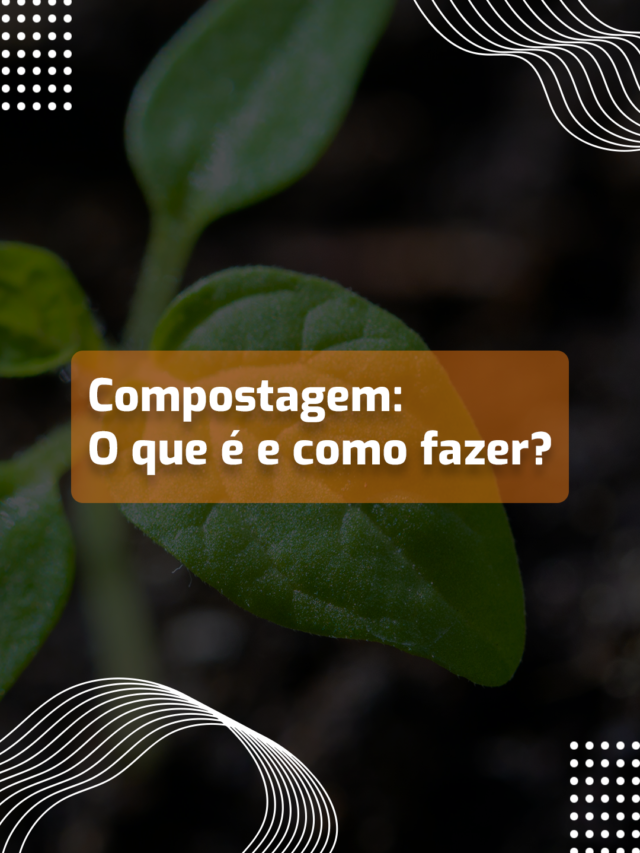 Compostagem: O que é e como fazer?