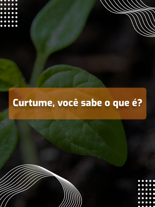 Curtume, você sabe o que é?