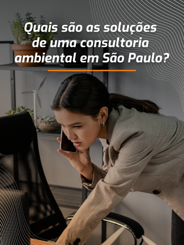 Quais são as soluções de uma consultoria ambiental em São Paulo?