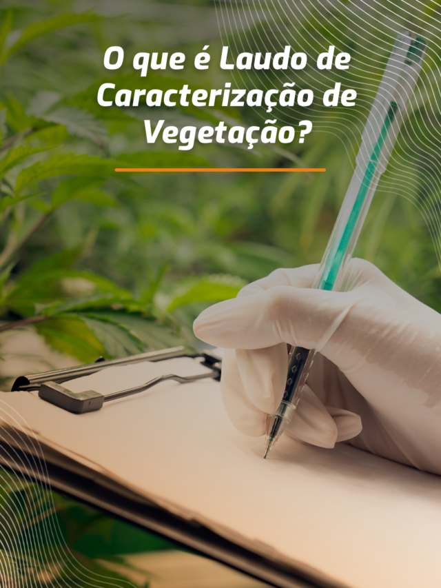 O que é Laudo de Caracterização de Vegetação?