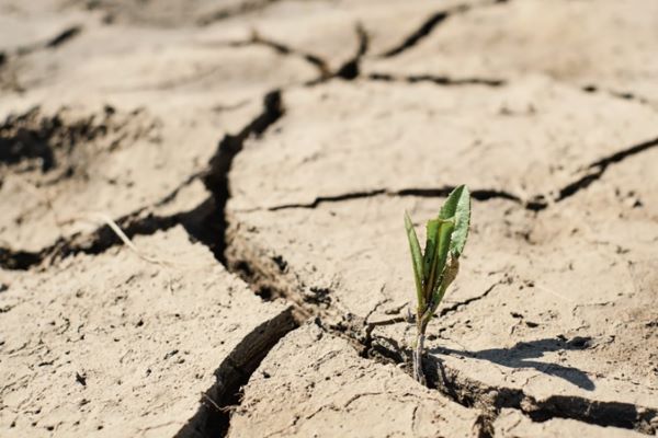 Mudanças-climáticas