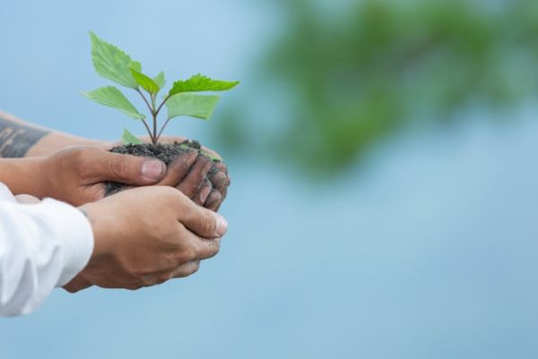 Inteligência-artificial-no-setor-ambiental