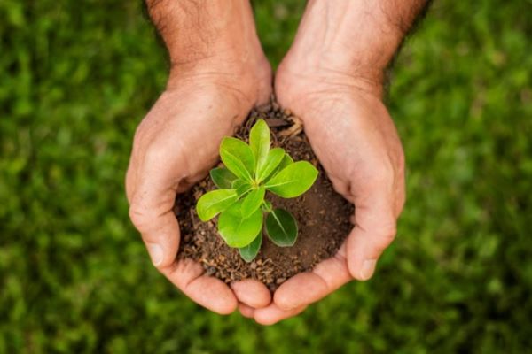 Consultoria-ambiental-perto-de-Mogi-Mirim-sp