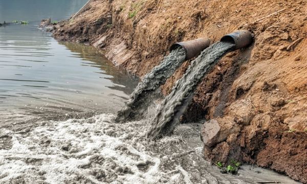 Estudos-para-áreas-contaminadas