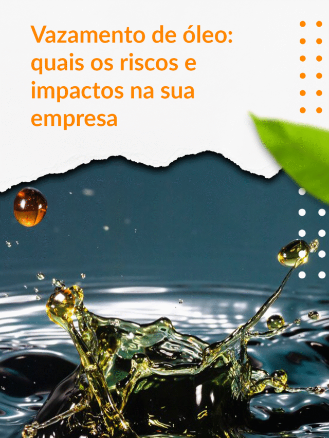 webstories agosto 2.1