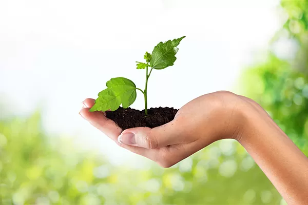 Regularizacao-Ambiental-de-Empresas-e-Empreendimentos