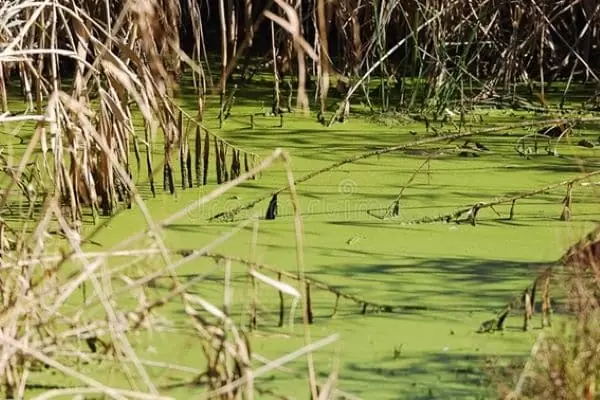 Gerenciamento-de-Areas-Contaminadas