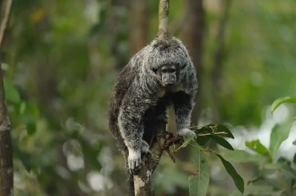 Educar-ambientalmente-é-garantir-a-preservação-do-meio-ambiente-para-as-gerações-futuras