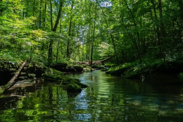 ICMBio-Instituto-Chico-Mendes-de-Conservacao-da-Biodiversidade